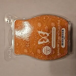 Frosted Cinnamon Roll Scentsy Bar - New